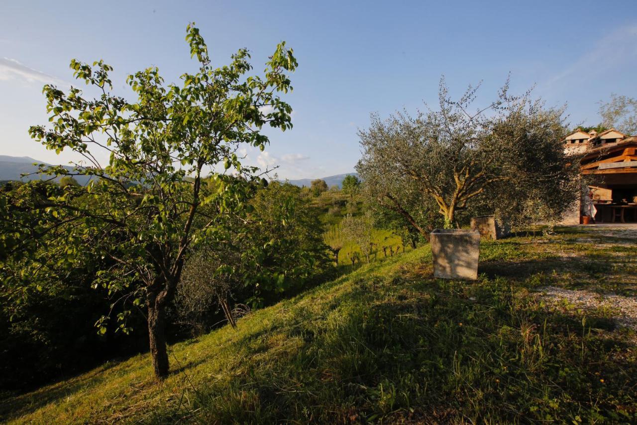 Asolo Norah's Hill Agri Bauernhof