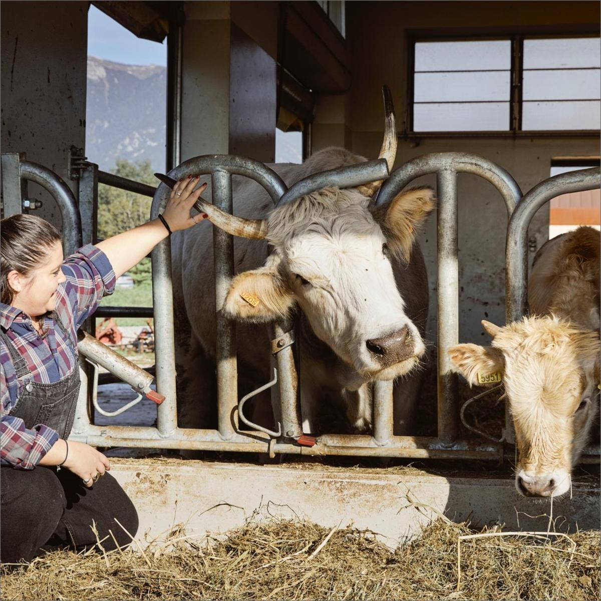 Asolo Norah's Hill Agri Monfumo